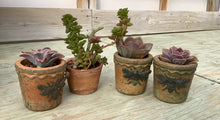 Load image into Gallery viewer, Succulent Mixed Pots
