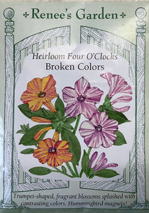 Four O'Clocks - Heirloom Broken Colors