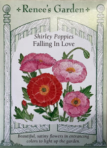 Poppies - Shirley Falling In Love