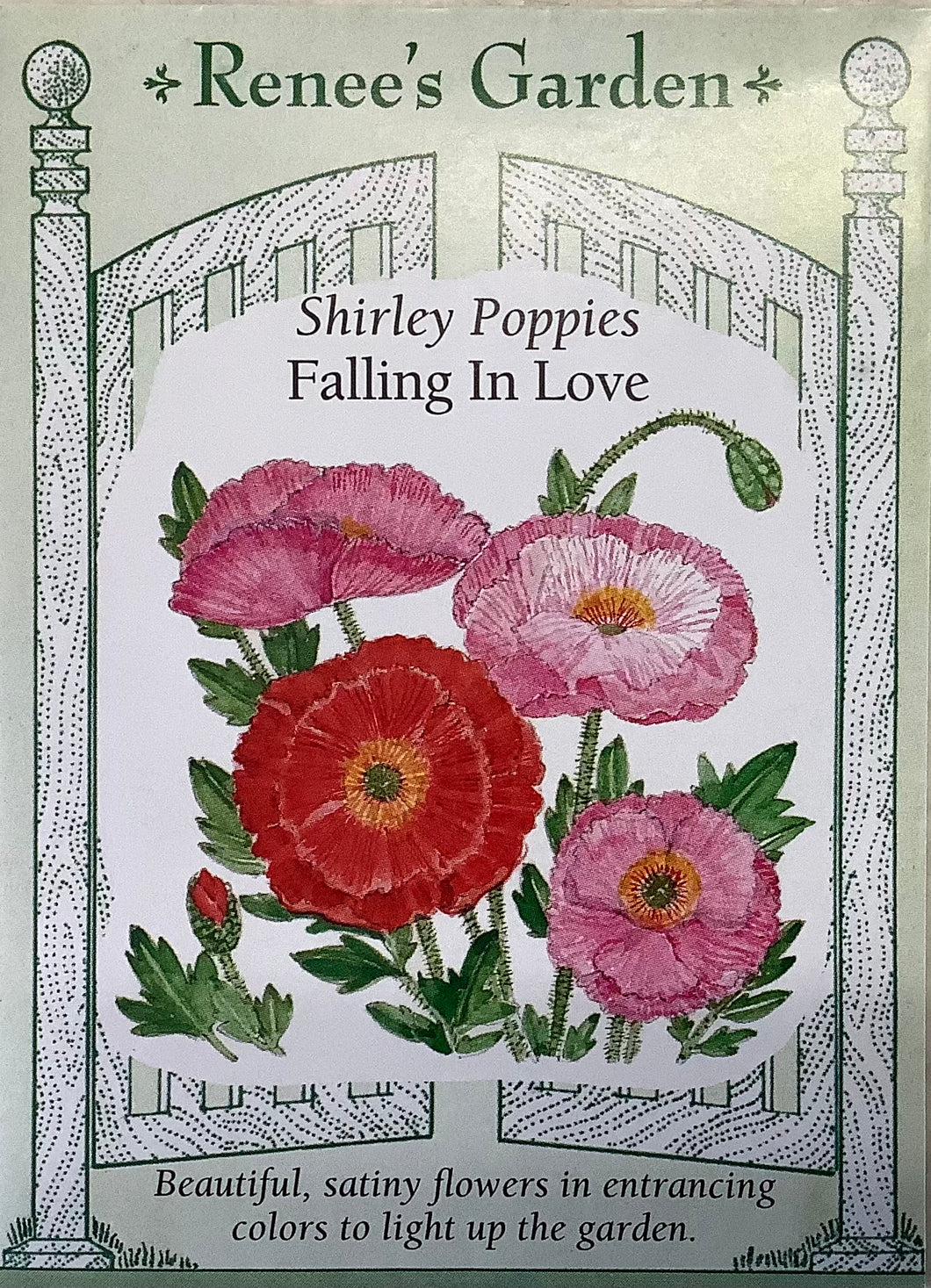 Poppies - Shirley Falling In Love