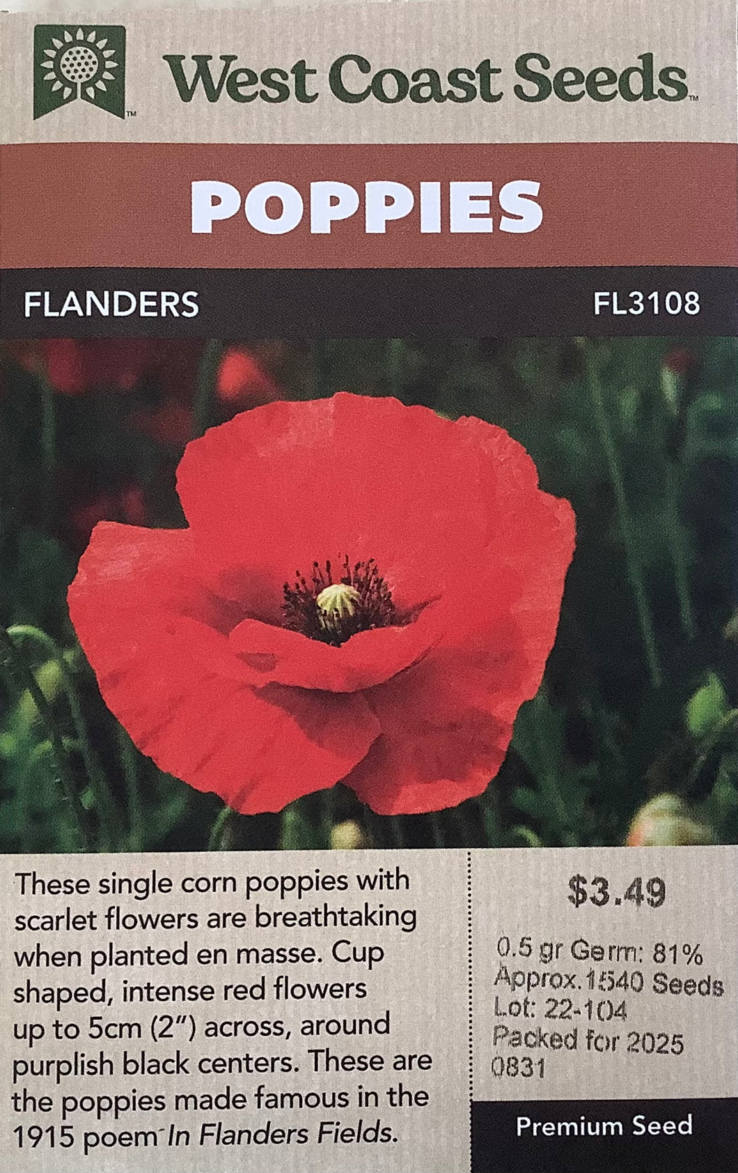 Poppies: Flanders Poppy