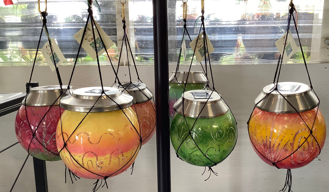 COA Assorted Colours Hanging Globe Solar Light