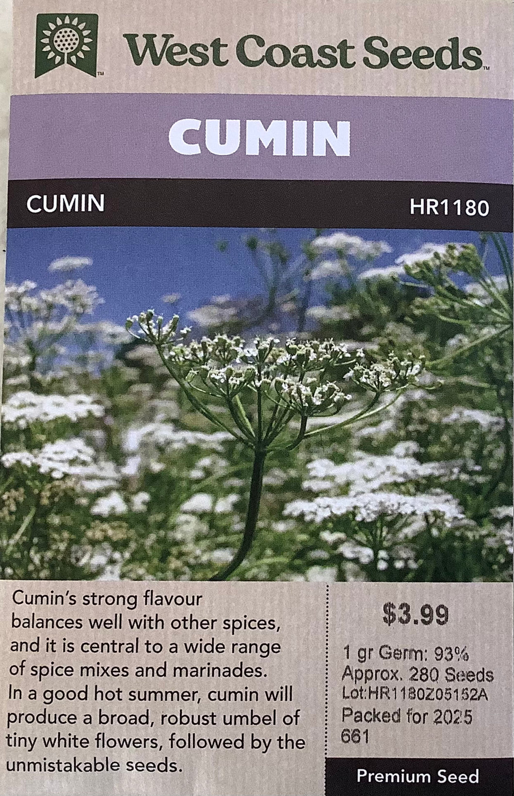Cumin