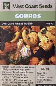 Pumpkin - Autumn Wings Blend