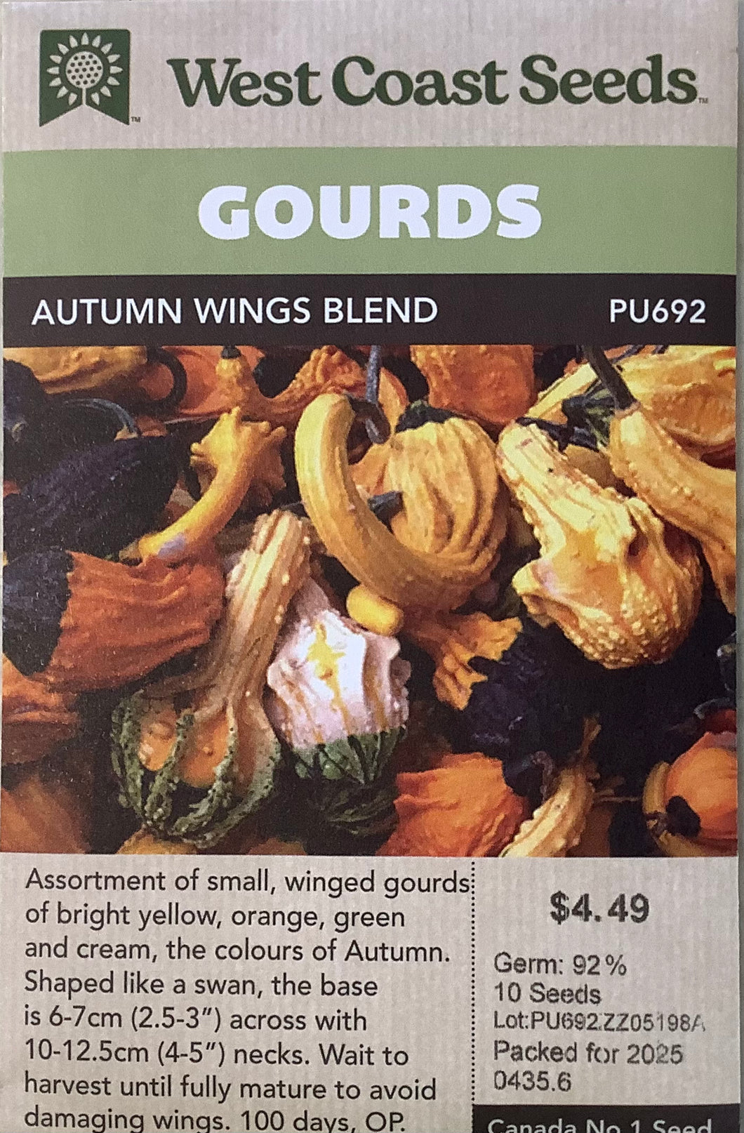 Pumpkin - Autumn Wings Blend