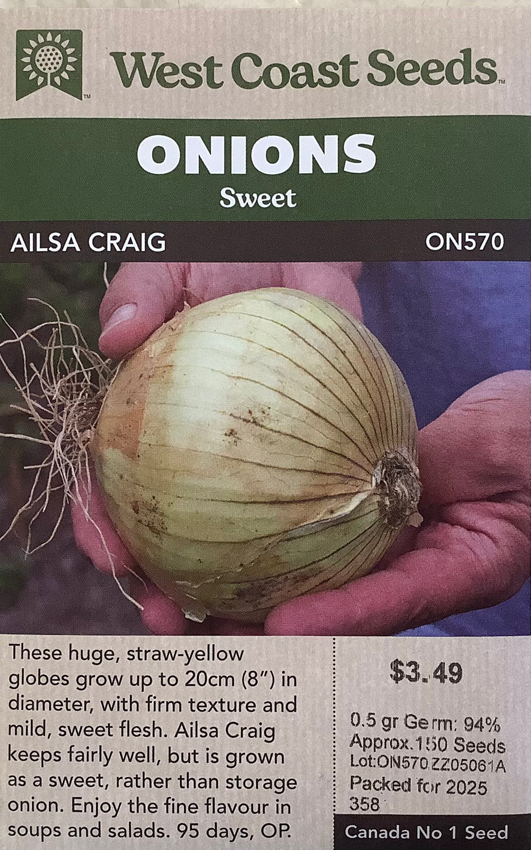 Onions -Ailsa Craig