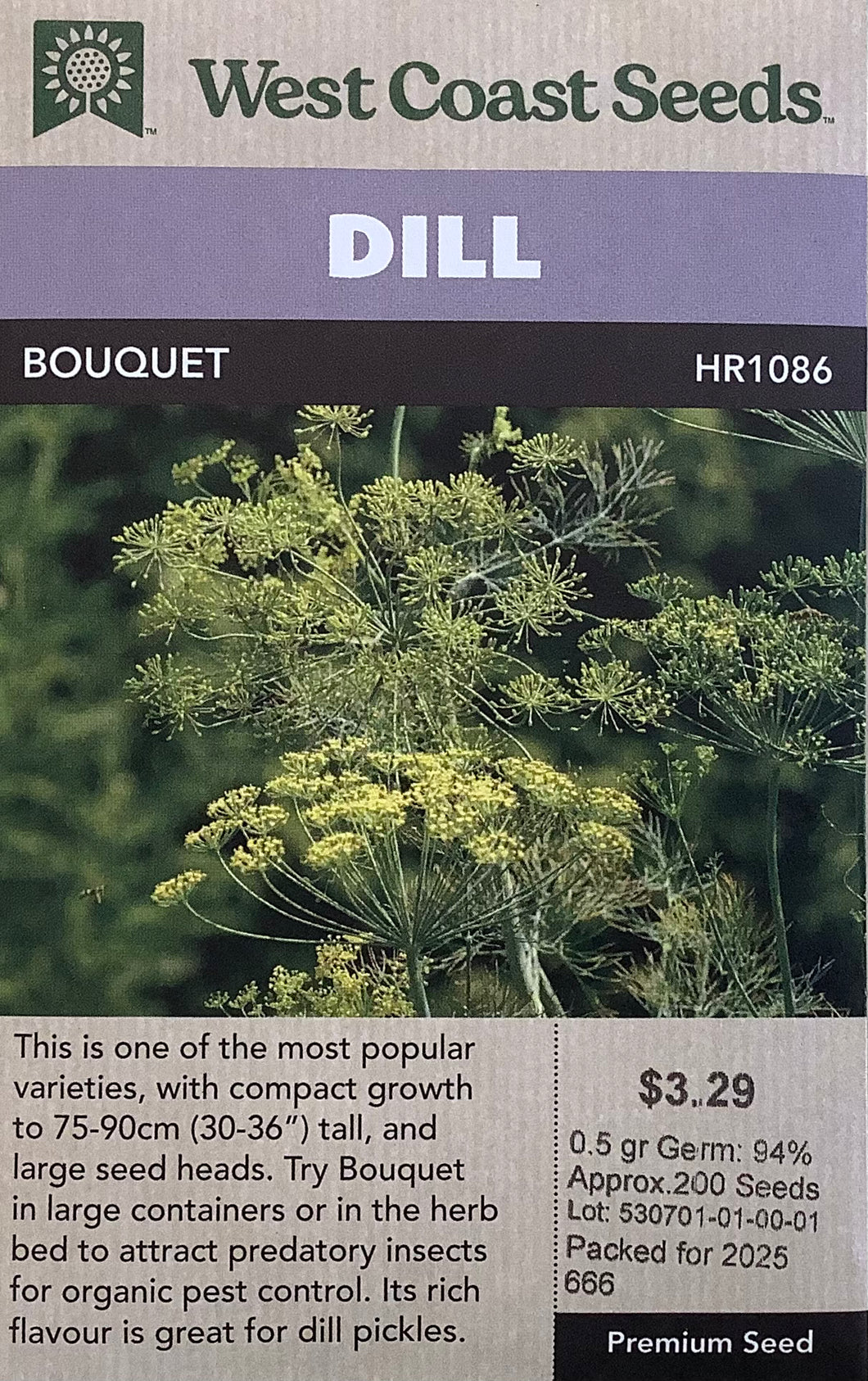 Dill - Bouquet
