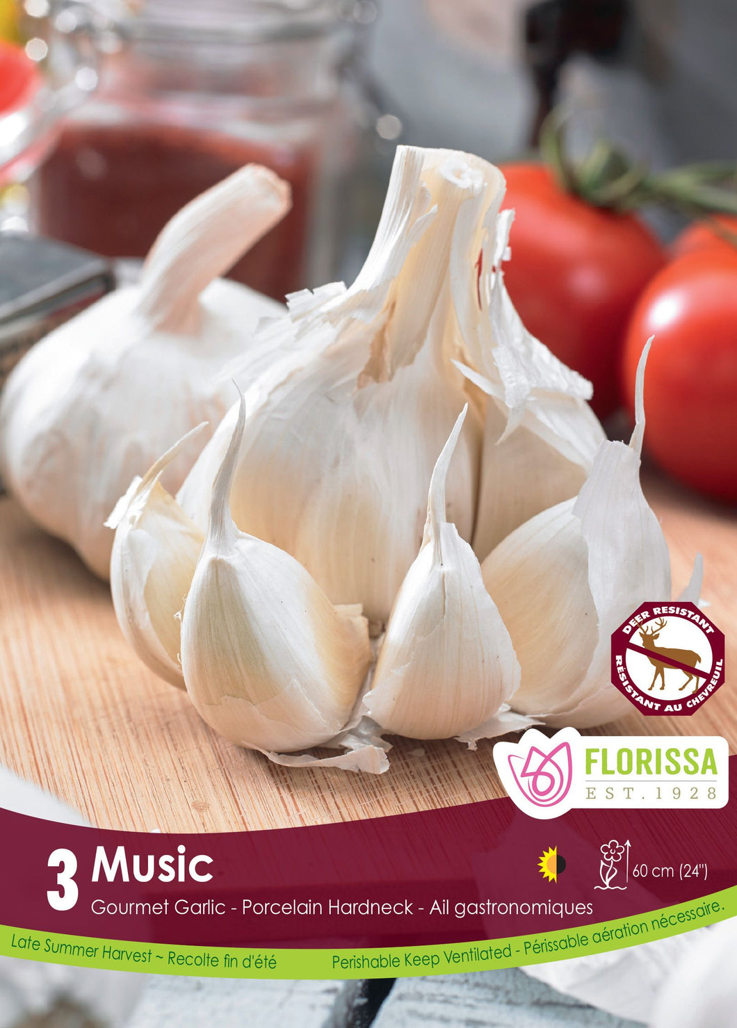 Gourmet Garlic: 'Music' - 3 Pack