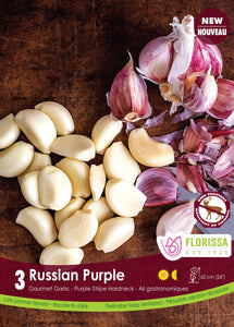 Garlic "Russian Red" - 3 Pack