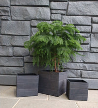 Load image into Gallery viewer, Dillon Square Planter - Black
