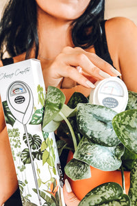 Moisture Meter