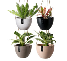 Load image into Gallery viewer, 8&quot; Signature Stone Hanging Planter Pot - Beachwood Planter

