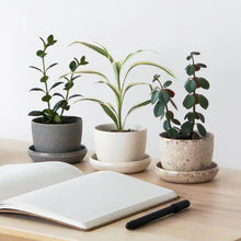 Load image into Gallery viewer, 3&quot; Upcycled Mini Planters: Bamboo Fibre (Black)

