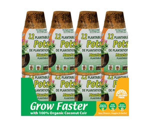 2.50" Biodegradable Coconut Coir Pot - 12 Pk