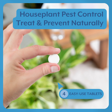 Load image into Gallery viewer, Natural Houseplant Pest Control - Peppermint Leaf Spray
