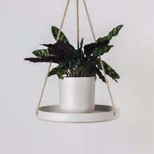 Load image into Gallery viewer, 10&quot; Signature Stone Hanging Tray: Gray Stone
