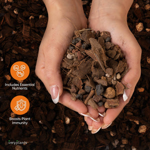 Molly's Orchid Mix - Premium Soilless Potting Mix: 5 Dry Quarts (5.5L)