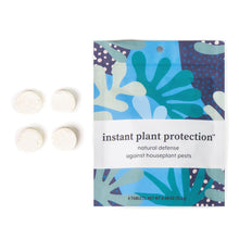 Load image into Gallery viewer, Natural Houseplant Pest Control - Peppermint Leaf Spray
