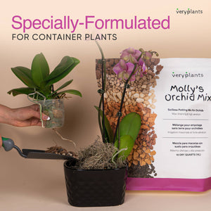 Molly's Orchid Mix - Premium Soilless Potting Mix: 5 Dry Quarts (5.5L)