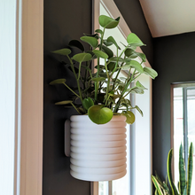 Load image into Gallery viewer, Plant Pot 2" Rainbow (Matte) / Wall Mounted - Round
