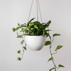 8" Signature Stone Hanging Planter Pot - Black Planter