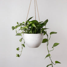 Load image into Gallery viewer, 8&quot; Signature Stone Hanging Planter Pot - Beachwood Planter
