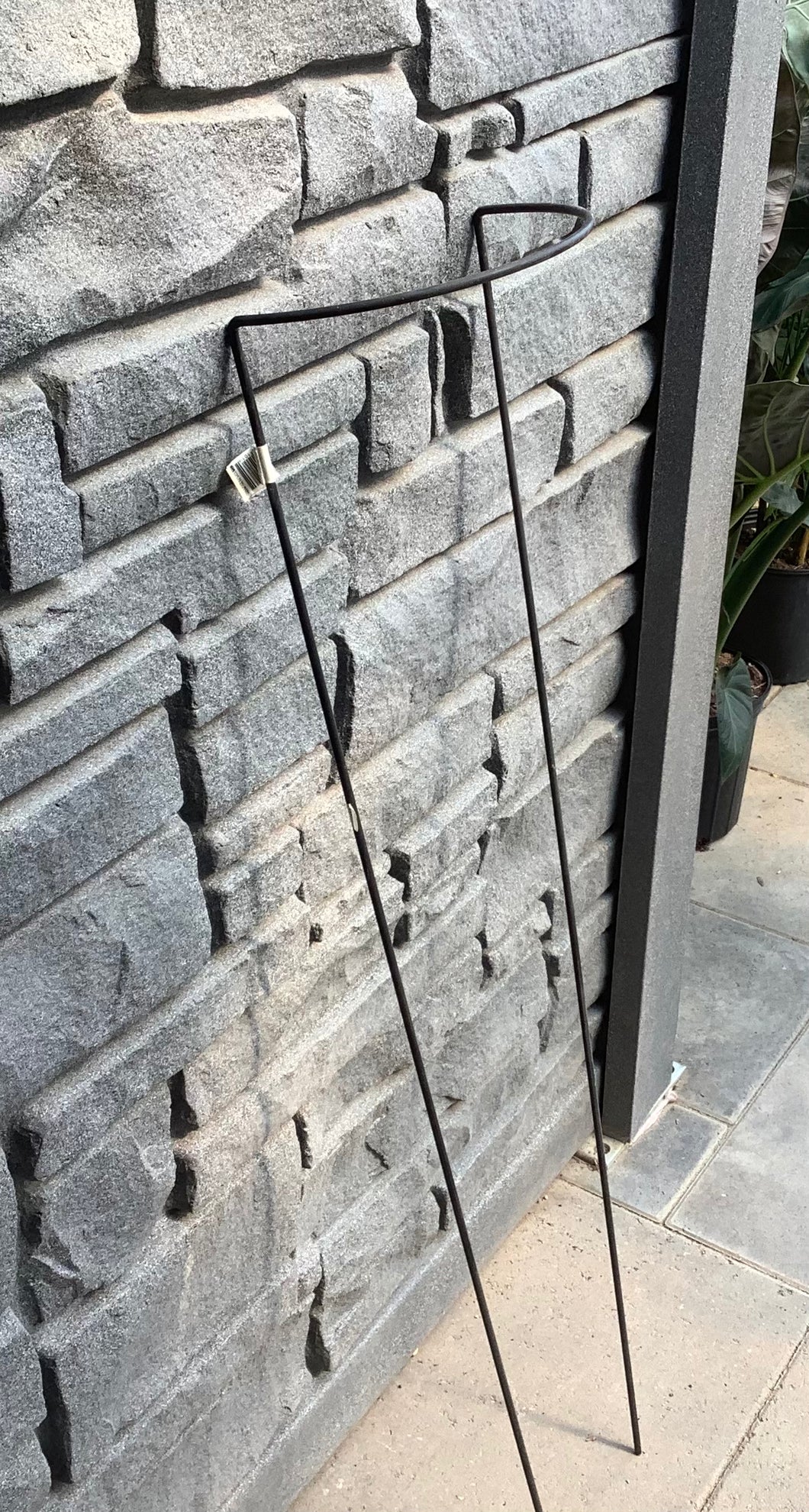 Pacific Rim Perennial Support