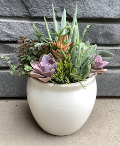 Large White Ceramic Succulent Pot 7”