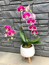 Load image into Gallery viewer, 5.5&quot; Orchid Multi Waterfall - Purple with Pink
