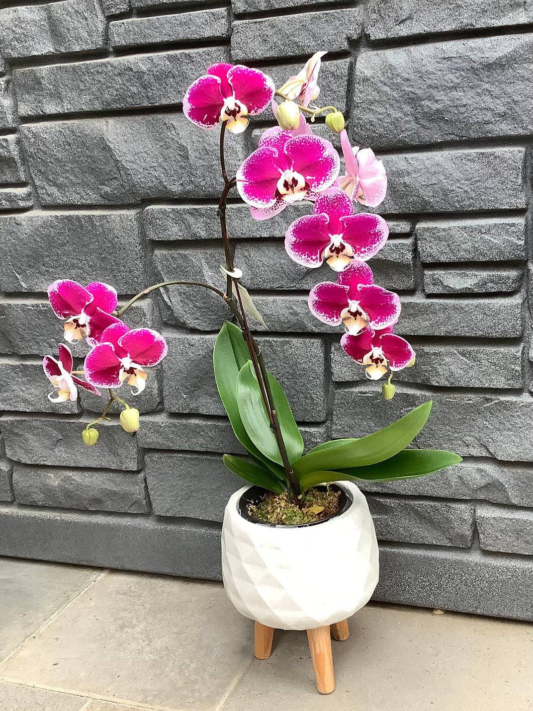 5.5