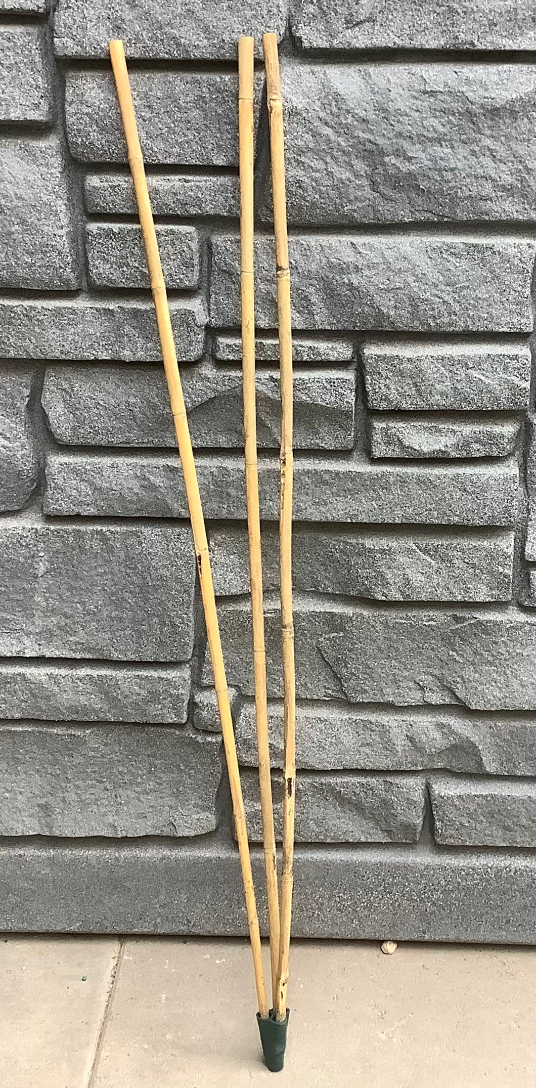 Bamboo Tee Pee