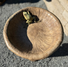 Load image into Gallery viewer, Birdbath: Mushroom
