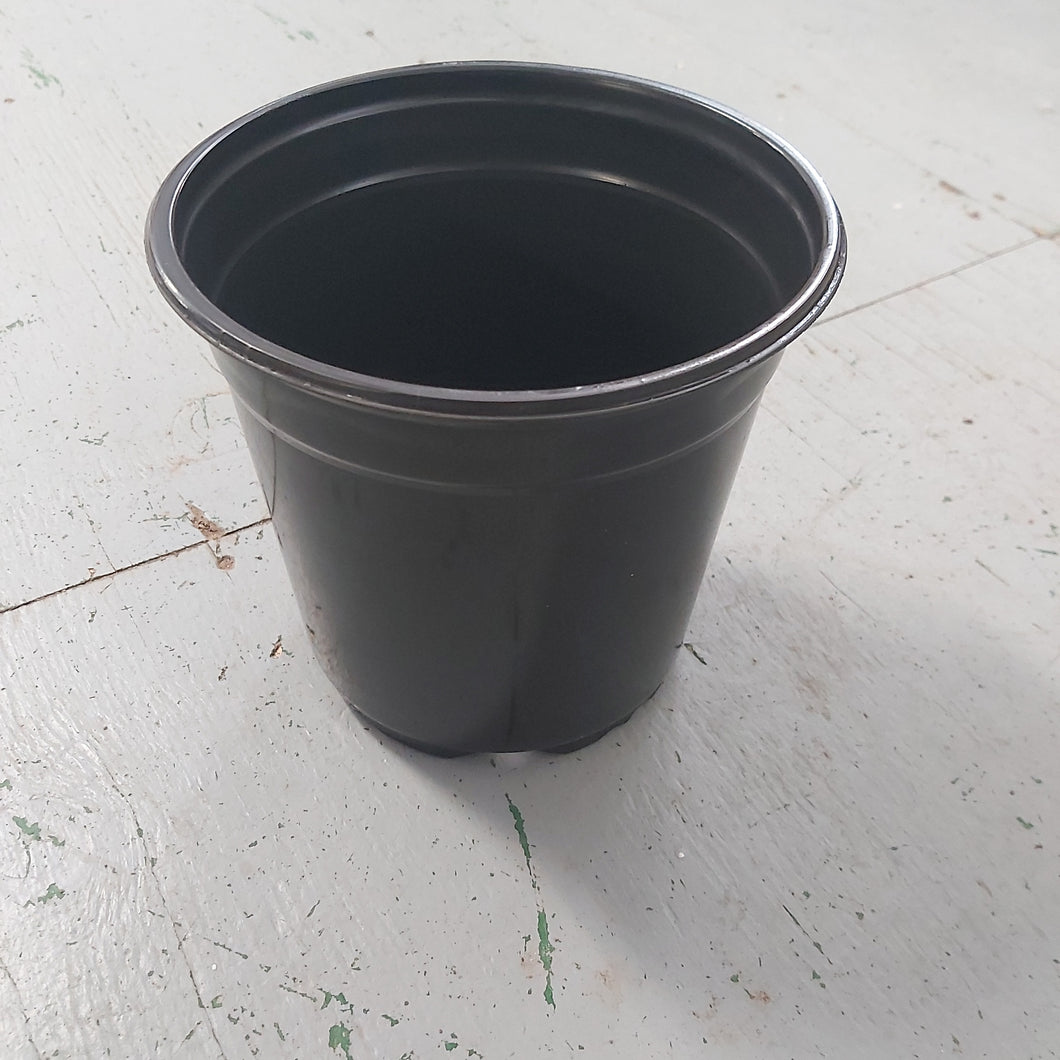 17 cm euro pot