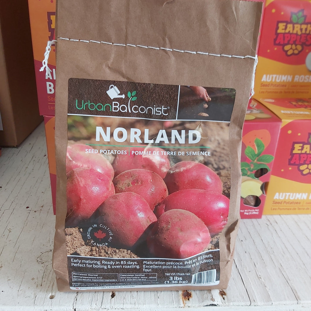 Norland Seed Potatoes - 3lbs
