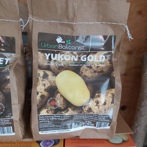 Yukon Gold Seed Potatoes - 3lb