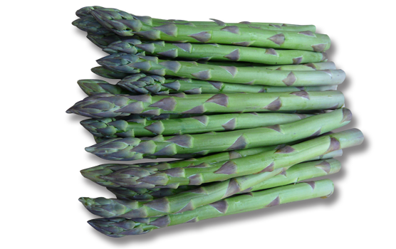 Asparagus 