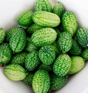 Cucumber - Cucamelon (30 seeds)