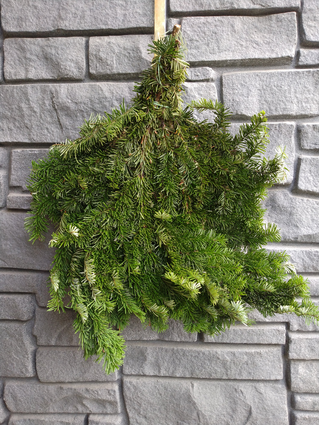 Silver Fir Boughs