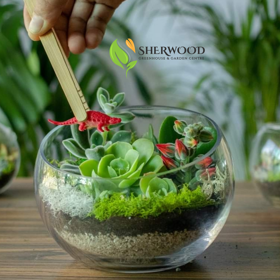 Terrarium workshop Oct 12th 6.30 PM