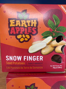 Snow Finger Seed Potatoes - 2.2lbs