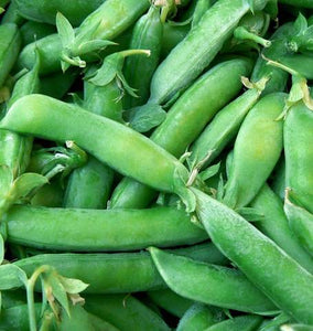 Snap Peas - Super Sugar
