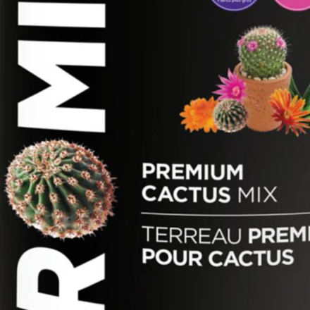 Terreau pour cactus Promix