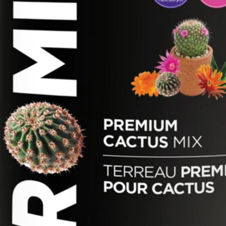 PRO-MIX Cactus Mix 5L