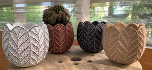 5" Aaliyah Leaf Bowl Plant Pot