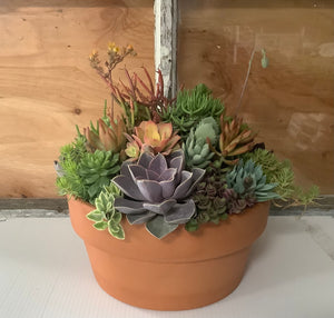 12" Terra Cotta Succulent Bowls