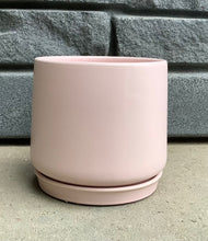 Load image into Gallery viewer, 15 cm Contemporary Pot w Saucer
