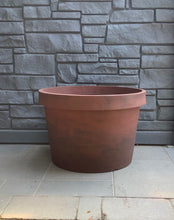 Load image into Gallery viewer, 25.5&quot; Linea Low Rose Pot
