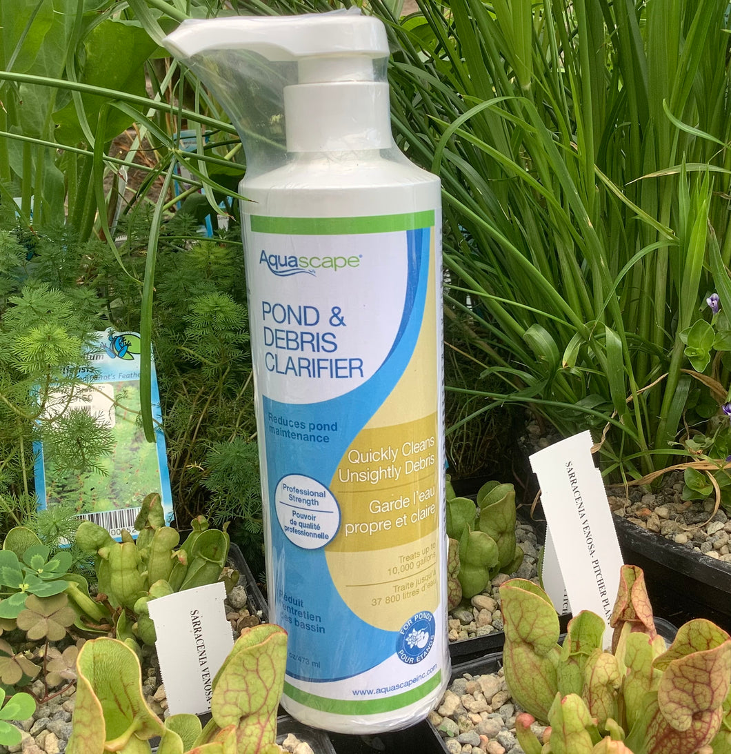 Pond & debris clarifier aquascape