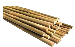 Bamboo Stake 8'