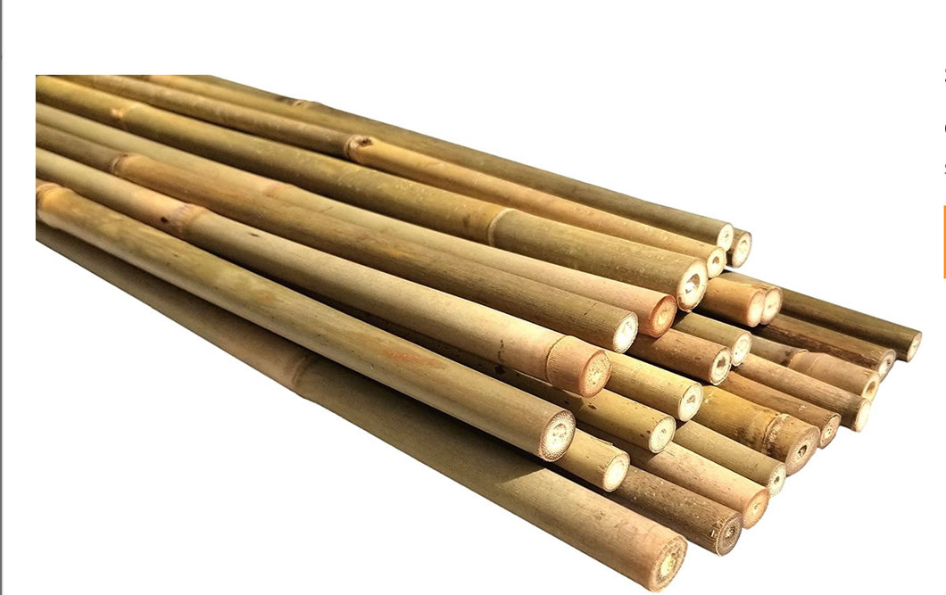 Bamboo Stake 8'